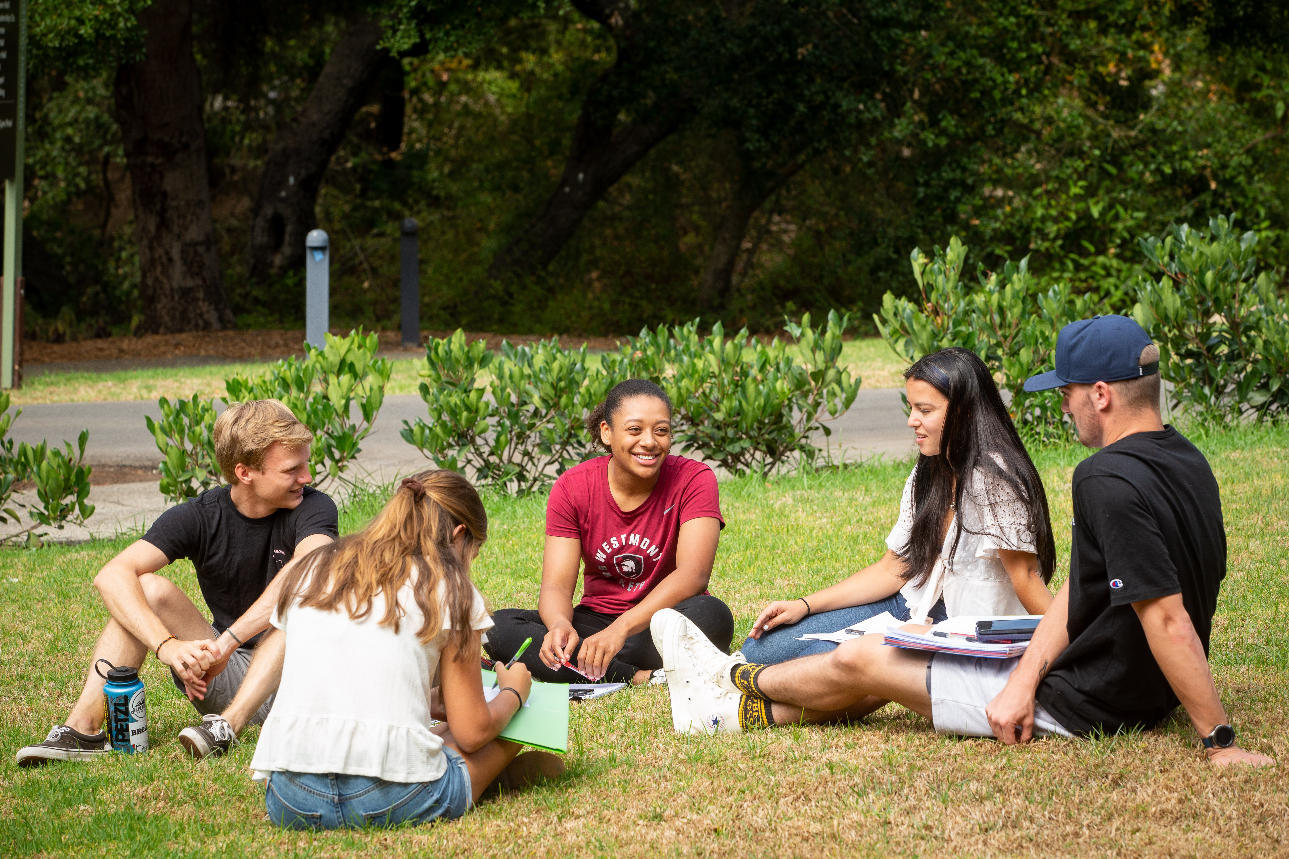 students studying on the grass